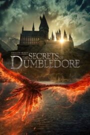 Fantastik Canavarlar 3: Dumbledore’un Sırları